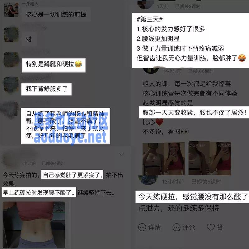 一介粗人健身核心训练营第2期