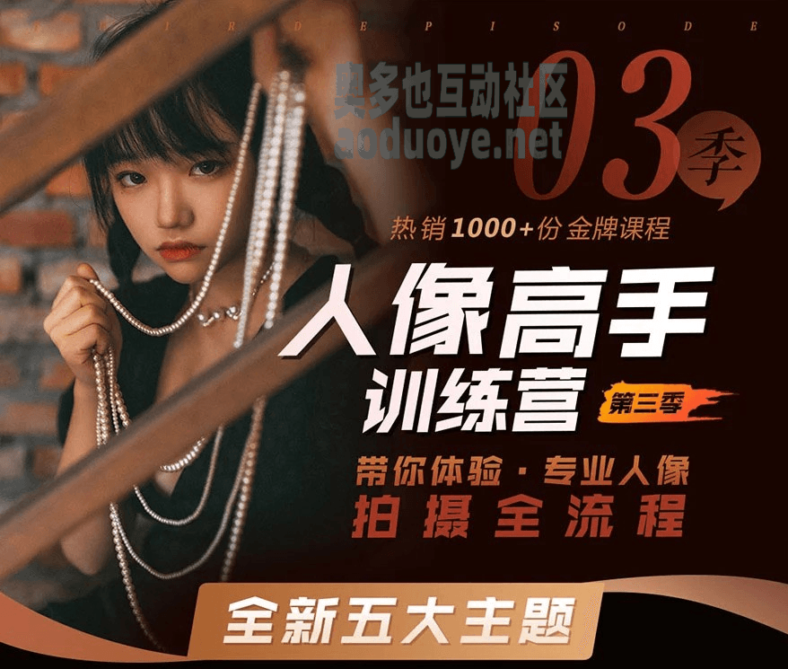 摄影剪辑老纳人像高手训练营第三季