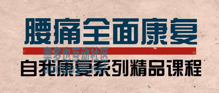 腰痛运动康复:教练与患者必学 腰痛运动康复:教练与患者必学
