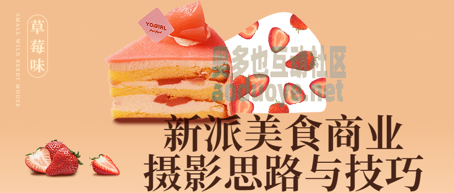 摄影剪辑新派美食商业摄影思路与技巧