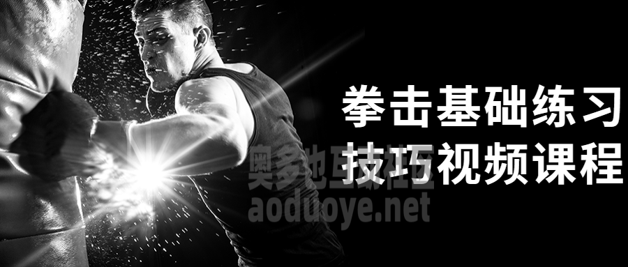 拳击基础练习技巧视频课程